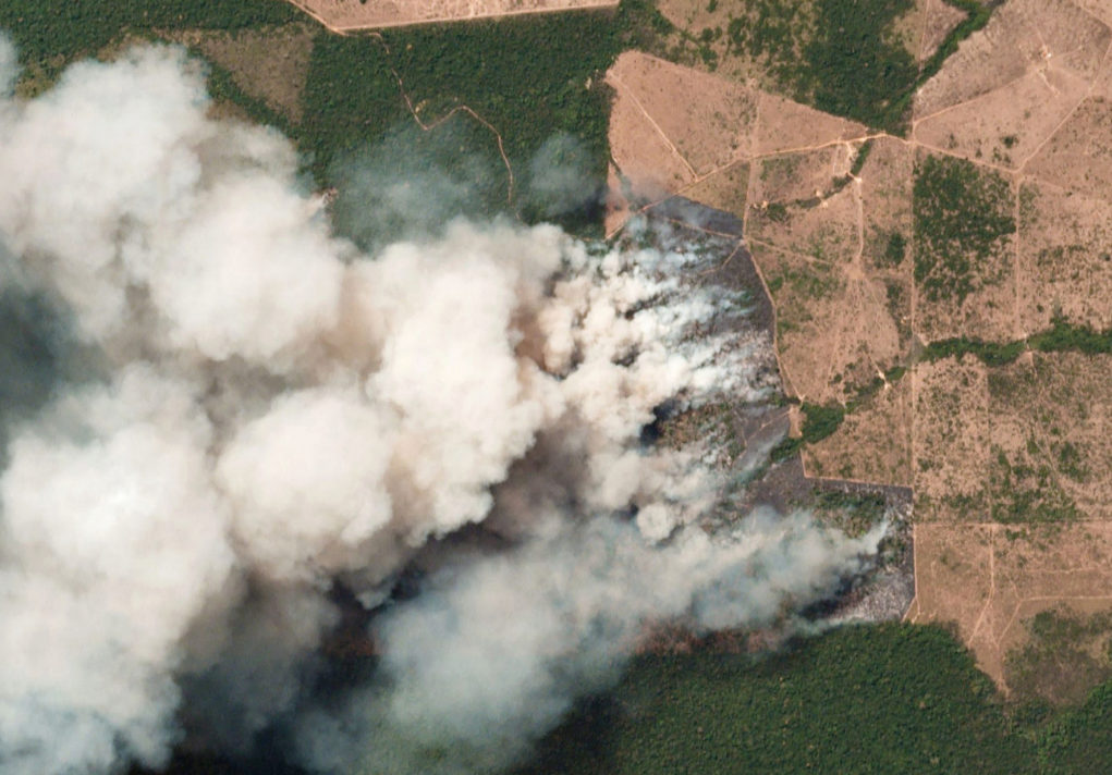 SOS Amazonas: qué hay tras los incendios que podrían alterar el clima mundial