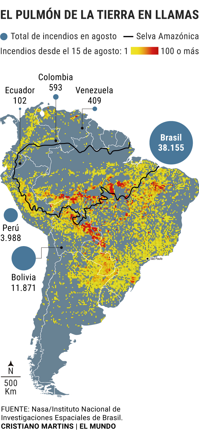 SOS Amazonas: qué hay tras los incendios que podrían alterar el clima mundial