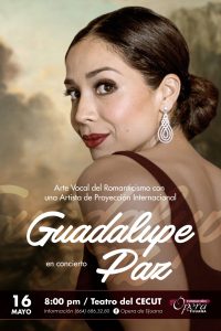 Guadalupe Paz en concierto