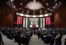 Cámara de diputados
