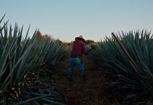 Dos estaciones (México-Francia-EUA, 2022), de Juan Pablo González