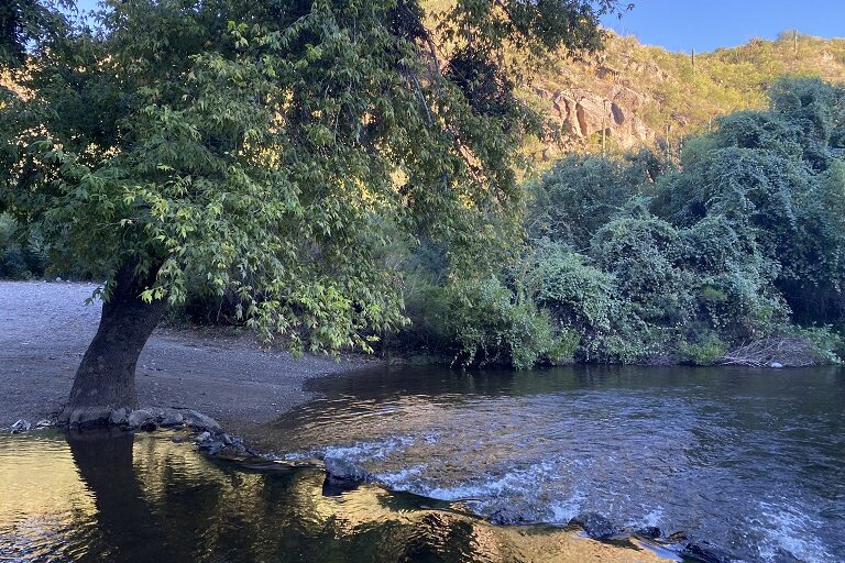 El río Cocóspera es un recurso hídrico crucial para el Desierto de Sonora y para miles de personas, pero ahora su valle está amenazado por un nuevo proyecto ferroviario. Fotografía de Dawn Marie Paley.