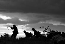 Invasion guerra