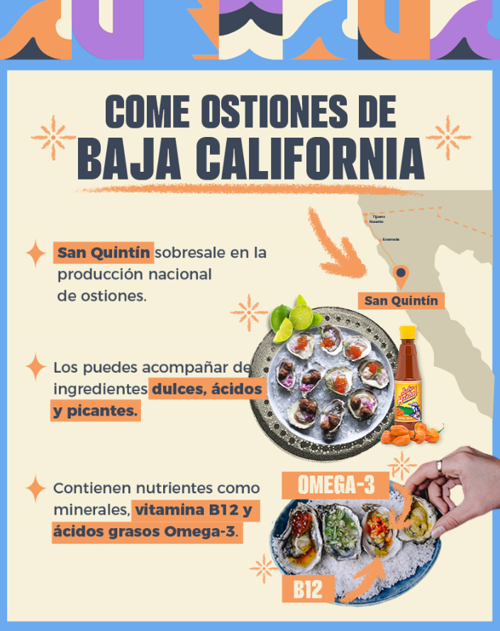 ¿Ya conoces los ostiones de San Quintín? La opción de consumo más deli y fresca de México